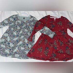 Tea 2T Smocked Floral Dress Bundle